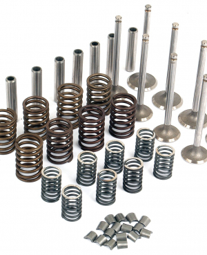 Комплект переборки головки блока / Perkins Valve Train Kit АРТ: PVTK442
